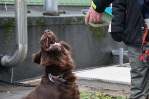 27.01.2019 Marburg (122)